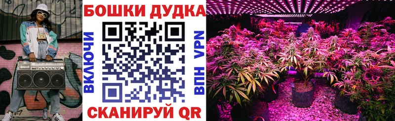 Бошки Шишки Amnesia  Купить где  Добрянка 